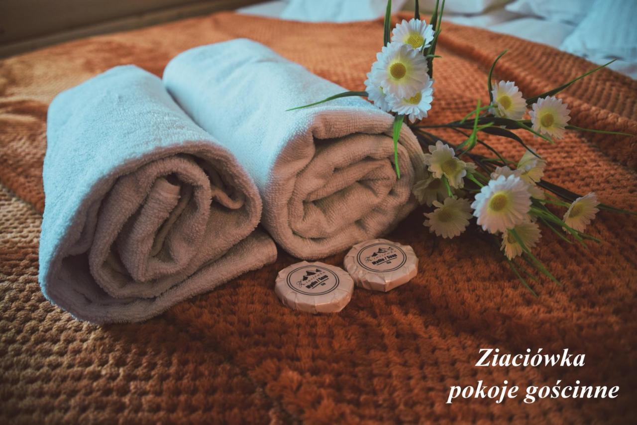 Ziaciowka Apartment Rzepiska ภายนอก รูปภาพ