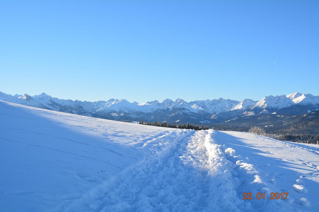 Ziaciowka Apartment Rzepiska ภายนอก รูปภาพ